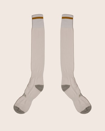 Third Adult Sock 2025