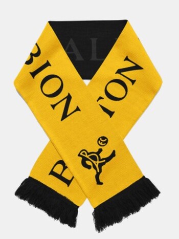 The Chameleon Scarf